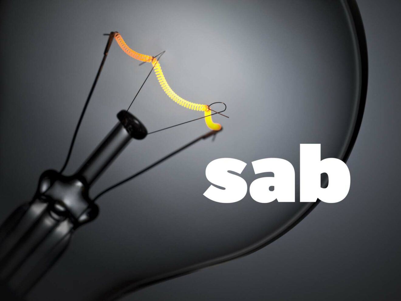 SAB: Neuer Webauftritt mehrsprachig